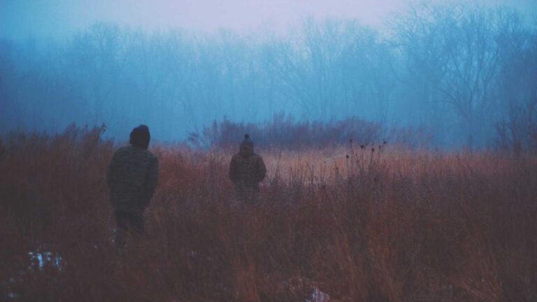 What Can Players Manage Inside The 99Exch User Panel?