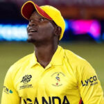 My99exch Cricket Betting: Expert Tips, Strategies & Platform Review